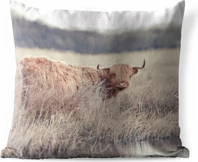Produktbild von MuchoWow® Outdoor Kissen - Scottish Hochlandrind - Landschaft - Gras - 40x40 cm - Wetterfest - Lounge Kissen - Kopfkissen - Interieur - Polster mit Bild