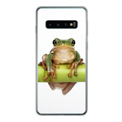 Produktbild von MuchoWow® Handyhülle Schutzhülle Hülle für Samsung Galaxy S10 Frosch - Bambus - Weiß Silikon Softcase Handy Hülle - Handytasche