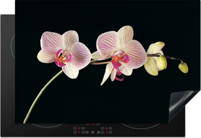 Produktbild von KitchenYeah© Herdabdeckplatte Orchidee - Blumen - Schwarz - Rosa - Knöpfe , 77x51cm, Küche Deko, Glaskeramikkochfeld Herdabdeckung, Abdeckplatte fùr Kochfeld