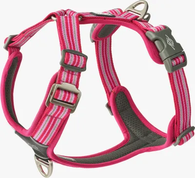 Produktbild von Dog Copenhagen V3 Comfort Walk Air Harness Wild Rose M