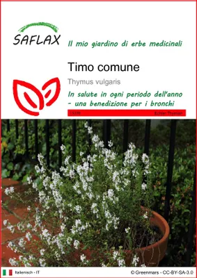Immagine prodotto di SAFLAX - Timo comune - 200 semi - Thymus