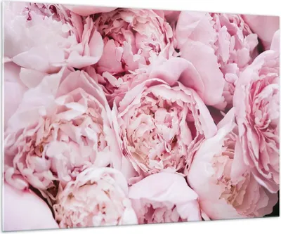 Produktbild von Bilder auf glas - Einteilig - Blumenstrauß Blumen Rosa - 100x70cm - Glasbilder - Wandbilder - Bilder - zum Aufhängen bereit - Wanddekoration aus Glas - Glas Bilder - Wandbild auf Glas - GAA100x70-5001