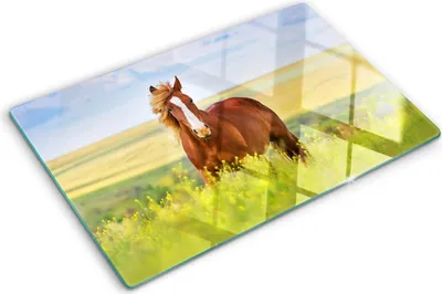Obrázek produktu pro Kryt varné desky – Kryt na indukční desku – Ochranná skleněná deska – 80x52 cm– Skleněné ochranné desky na sporák –Tvrzené sklo –Hnědý kůň