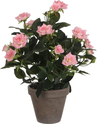 Zdjęcie produktu dla Mica Decorations Sztuczny krzew róży w doniczce Stan - H33 x Ø25 cm - Różowy