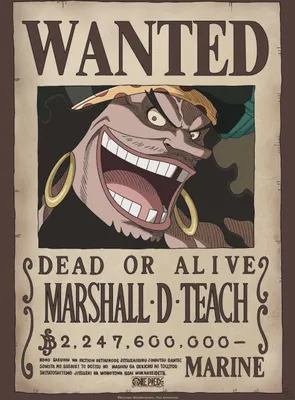 Produktbild von Poster One Piece Wanted Blackbeard 38x52cm