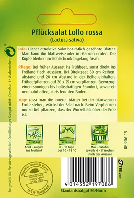 Produktbild von Pflücksalat, Lollo rossa