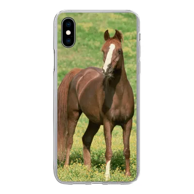 Produktbild von MuchoWow® Handyhülle Schutzhülle Hülle für iPhone Xs Pferde - Gras - Braun Silikon Softcase Handy Hülle - Handytasche