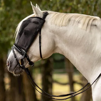 Produktbild von BUSSE Fliegenmaske Riding Fliegenschutz Schwarz Warmblut