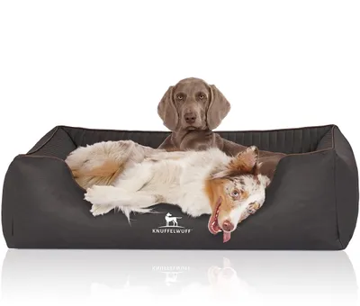 Produktbild von Knuffelwuff Orthopädisches Hundebett Columbia aus laser-gestepptem Kunstleder XXL 120 x 85cm Schwarz
