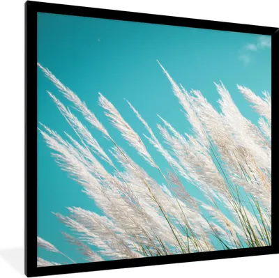 Produktbild von MuchoWow® Gerahmtes Poster Pampasgras - Pflanze 40x40 cm - Poster mit Schwarzem Bilderrahmen Wandposter Rahmen Foto Bilder - Mit Rahmen - Wanddekoration Schlafzimmer