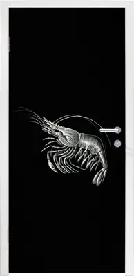 Obrázek produktu pro MuchoWow® Plakát na dveře - Krevety - Vintage - Ernst Haeckel - Zvířata - Umění - 215x90 cm - Samolepicí fólie na dveře