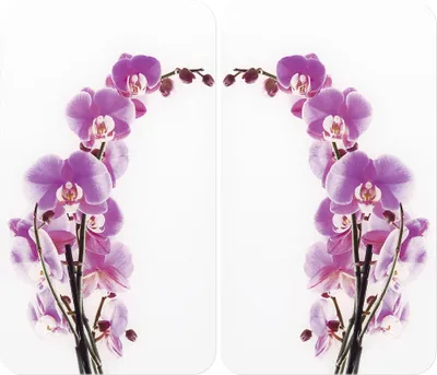 Produktbild von WENKO 2er Set Herd Abdeckplatte Herdabdeckung Schneidebrett Küche Orchideenblüte
