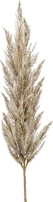 Produktbild von artplants.de Dekozweig Pampas Gras Rispe BATERNO, Creme, 115cm - Kunst Pampasgras/Künstliches Pampasgras