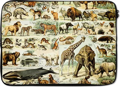 Produktbild von MuchoWow® Laptop Hülle 14 ZollTiere - Giraffe - Löwe Laptoptasche - Laptoptasche - Stoßsicher - Schutzhaube
