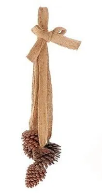 Productafbeelding van Hang dennenappels 5st l13b13h60cm donkerbruin HBX Deco