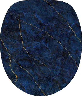 A dark blue marble-patterned toilet seat.