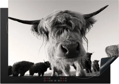 Produktbild von KitchenYeah© Herdabdeckplatte Schottischer Highlander - Schwarz - Weiß - Tiere , 75x52cm, Küche Deko, Glaskeramikkochfeld Herdabdeckung, Abdeckplatte fùr Kochfeld