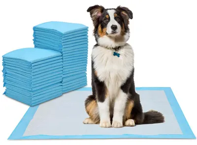 Immagine prodotto di Ikodm, 200 pezzi di tappetini assorbenti per cuccioli, 45x60 cm, salviette igieniche per cani, tappetini usa e getta per l'addestramento dei cani