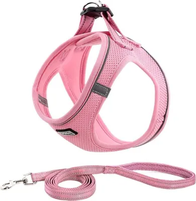 Produktbild von Hundegeschirr mit Leine Anti Zug Geschirr Reflektierend Brustgeschirr für Kleine Hunde, Haustiere, Welpen, Katzen (Rosa, M)