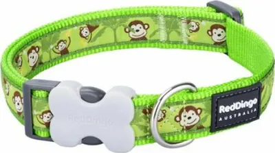 Produktbild von Hundehalsband Red Dingo Monkey 20-32 cm Grün