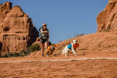 Image de Ruffwear Camp Flyer™ Toy Red Sumac