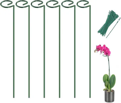 Blumenstützen Unterstützung, Hauptbild
