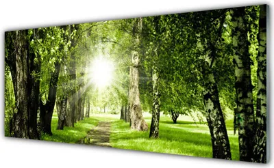 Produktbild von Acrylglasbilder 125x50 Wandbild Druck Wald Sonne Fußpfad Natur