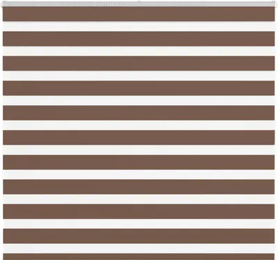 Imagen del producto de Estor cebra marrón 165x100 cm tejido ancho 160,9 cm poliéster