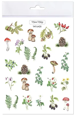 Immagine prodotto di Tatuaże zmywalne Leśne botaniczne dla dzieci