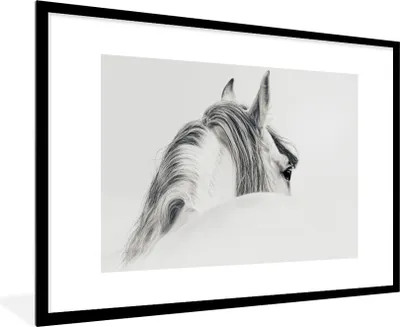 Produktbild von MuchoWow® MuchoWow® Gerahmtes Poster Pferd - Weiß - Tier 90x60 cm - Poster mit zchwarzem Bilderrahmen - Wanddekoration - Fotos