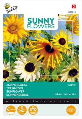 Image de Buzzy Sunny Flowers Graines de tournesol Esther - Environ 1 gr | Buzzy_080816
