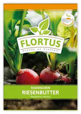 Produktbild von Radieschen Riesenbutter | Radieschensamen von FLORTUS