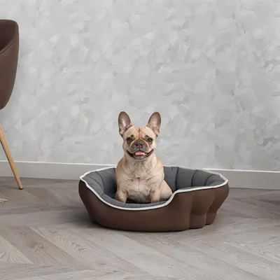 Productafbeelding van Hondenbed & Kattenbed Enjoy 59x53x18 cm – Zacht huisdierenbed met gevoerde rand