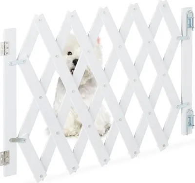 Immagine prodotto di Barriera per cani retrattile di colore bianco