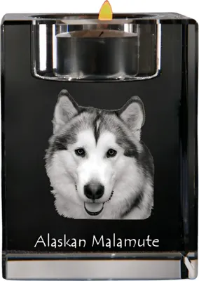 Obrázok produktu pre Art-Dog Svietnik na čajovú sviečku – Aljašský malamut