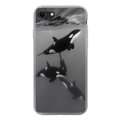 Produktbild von MuchoWow® Handyhülle Schutzhülle Hülle für iPhone SE 2022 Orca - Wasser - Schwarz - Weiß Silikon Softcase Handy Hülle - Schutzhülle
