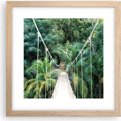 Produktbild von Gerahmtes Poster - Rahmen in heller Eiche - Tropen Dschungel Brücke - 30x30 cm - Wand Bild - Wanddeko - Wandbilder - Kunstposter - Wandposter - Bilderrahmen - Bilder - Kunstdruck - P2NAC30x30-4963