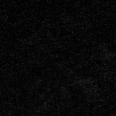 Image de Tapis Tapis ESSENCE Shaggy Unicolore Moderne Noir  300 x 400 cm