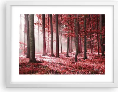 Produktbild von Gerahmtes Poster - Weißer Rahmen - Wald Rot Bäume - 40x30 cm - Wand Bild - Wanddeko - Wandbilder - Kunstposter - Wandposter - Bilderrahmen - Bilder - Kunstdruck - Wanddekoration - P2WAA40x30-4944