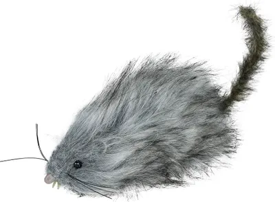 Produktbild von Tierische Graue Ratte Deko Halloween Gruselige Szenerie Gewand Grausame Atmosphäre Unheimliches Ambiente, Farbe: Grau