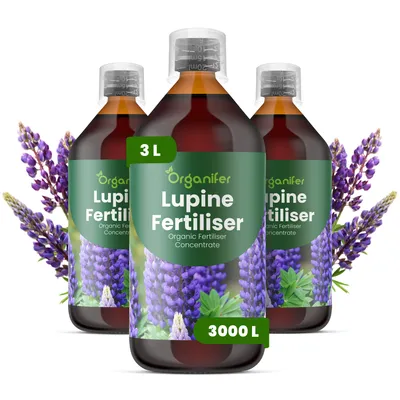 Obrázek produktu pro Lupina Tekuté Hnojivo 3x1 L – 2-1-8 NPK – Pro Lupiny – Podporuje Bujné Květy & Stabilnú Štruktúru – Organifer