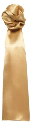 Produktbild von Premier - Schal für Damen - Business LT1275 (Einheitsgröße) (Gold)