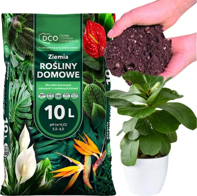 Produktbild von Blumenerde Premium - 10L - für Zimmerpflanzen - Hochwertige Mischung - Optimale Wachstumsbedingungen