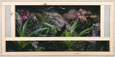Produktbild von Famanu Terrarium für Reptilien und Amphibien - Hochwertiges Design, 60 x 40 x 40 cm