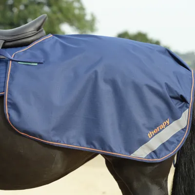 Immagine prodotto di Bucas Therapy Quarter Sheet - blu/arancio