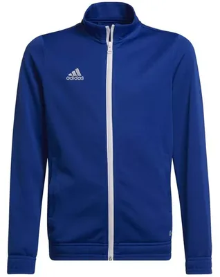 Imagen del producto de Chaqueta deportiva Adidas Entrada 22 "Team Royal Blue" para Niños