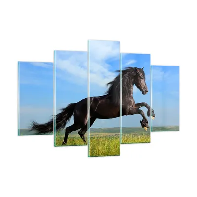Produktbild von Bilder auf glas - Schwarzes Pferd Pferd Galopp - 150x100cm - Glasbilder - Wandbilder - Kunstdruck - zum Aufhängen bereit - Wanddekoration aus Glas - Glas Bilder - Wandbild auf Glas - GEA150x100-0495