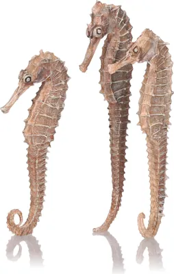 Obrázek produktu pro biOrb seahorse 3 pack natural