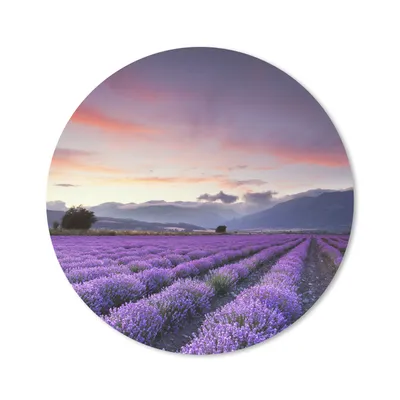Produktbild von MuchoWow® Mauspad Mousepad Sonnenuntergang über Lavendel 30x30 cm - Mousepads - Maus Mat - Pad - Mausunterlage - Tischunterlage - Schreibtischmatten