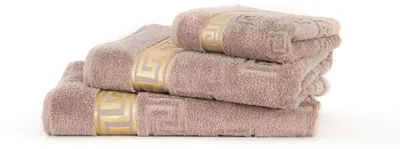 Produktbild von 3tlg. Luxus Medusa Saunatuch Badetuch Handtuch Set - Beige / Hell Braun - Frottee - Goldene Bordüre